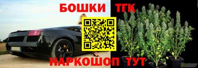 сатива Новодвинск